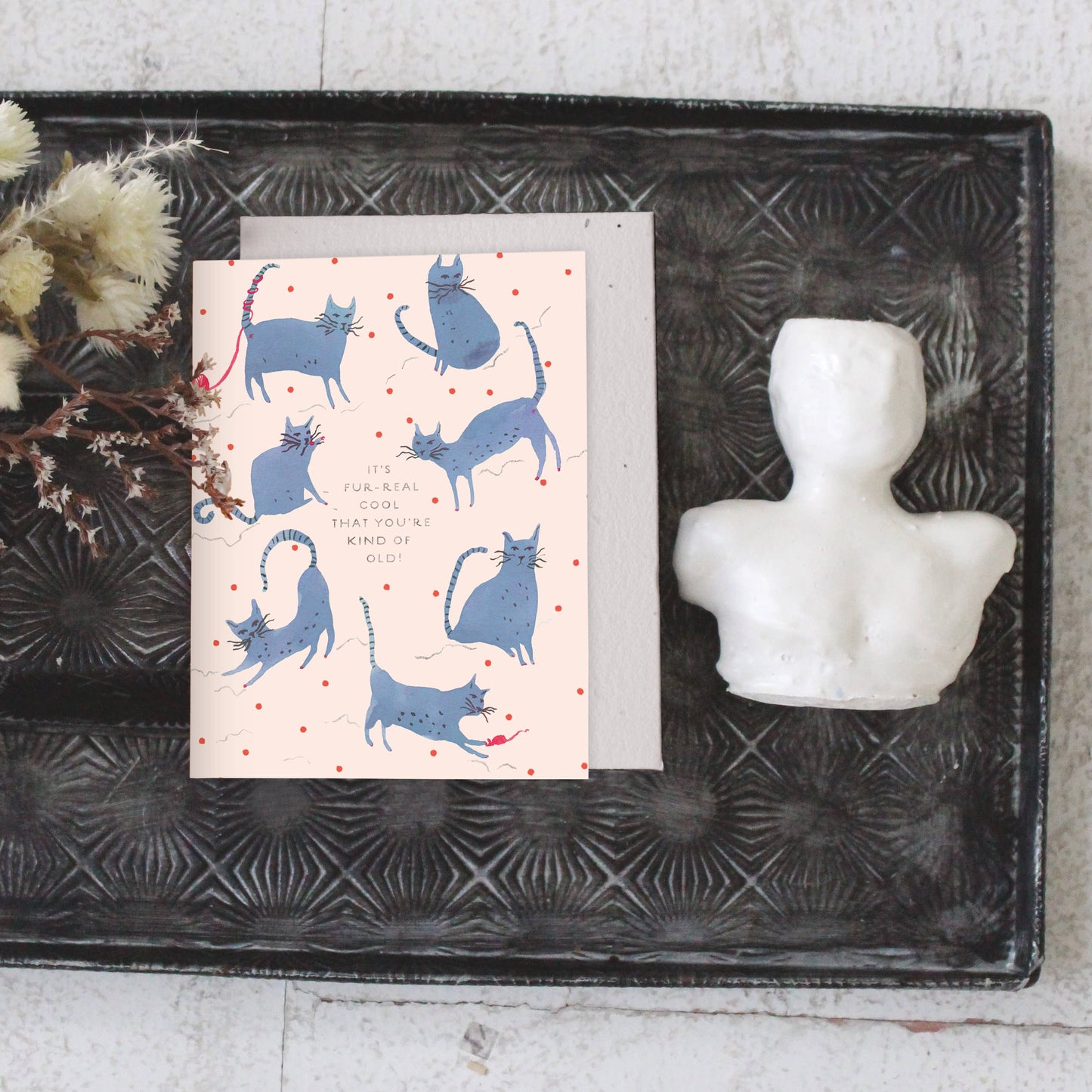 Seedlings - Playful Cats - Birthday Card