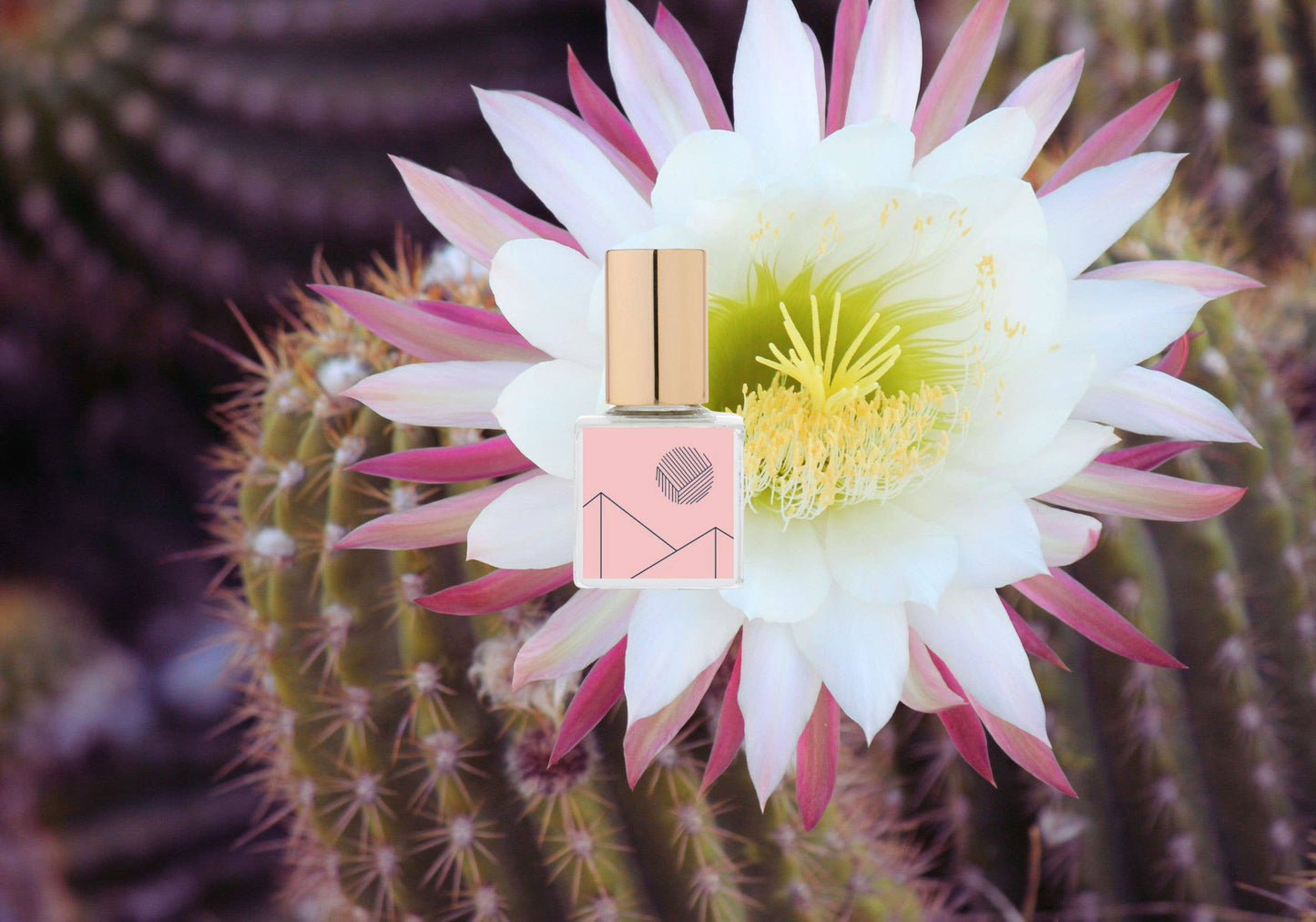 Kelly + Jones - MEZCAL GOLD Perfume Oil: Flora