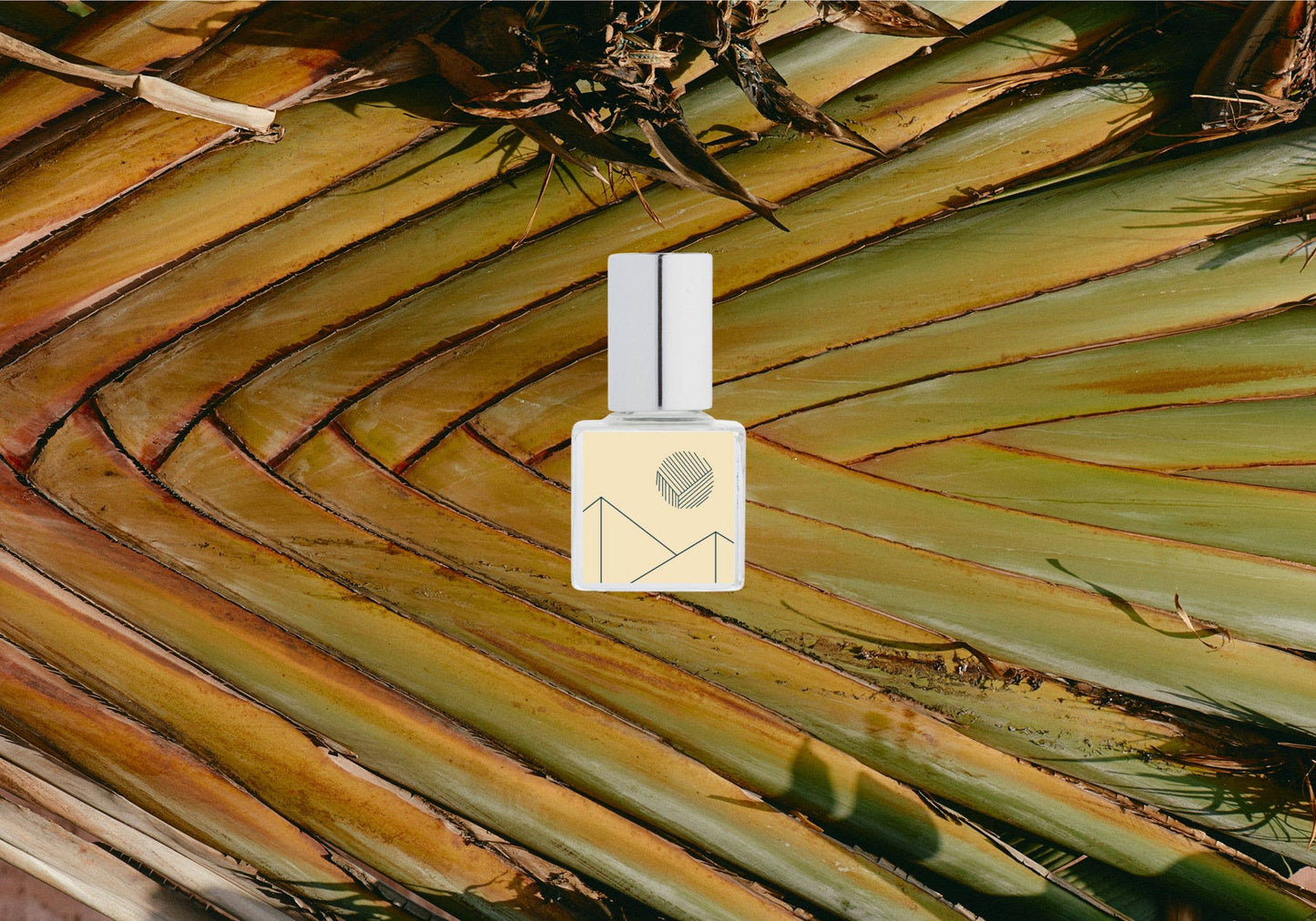 Kelly + Jones - MEZCAL Perfume Oil: Blanca