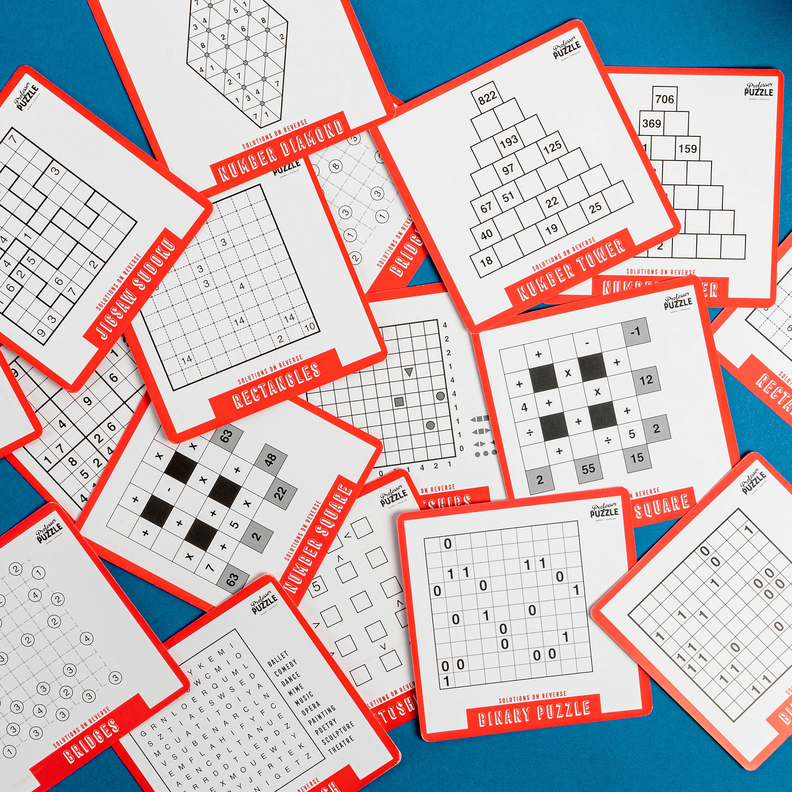 Puzzle a Day 365 Brain Puzzles