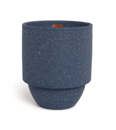 Paddywax Parks 11 oz Candle - Acadia