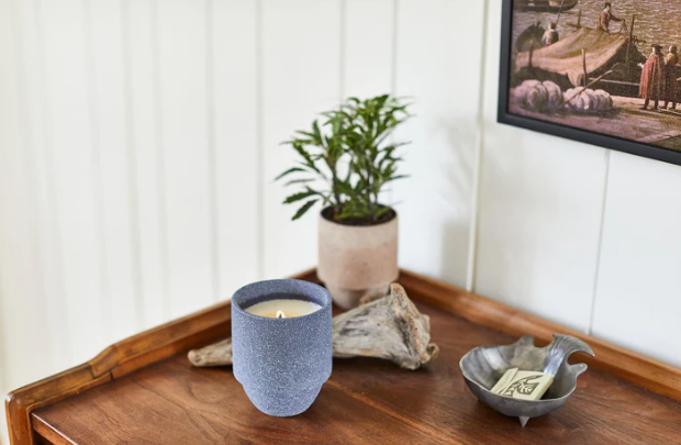 Paddywax Parks 11 oz Candle - Acadia