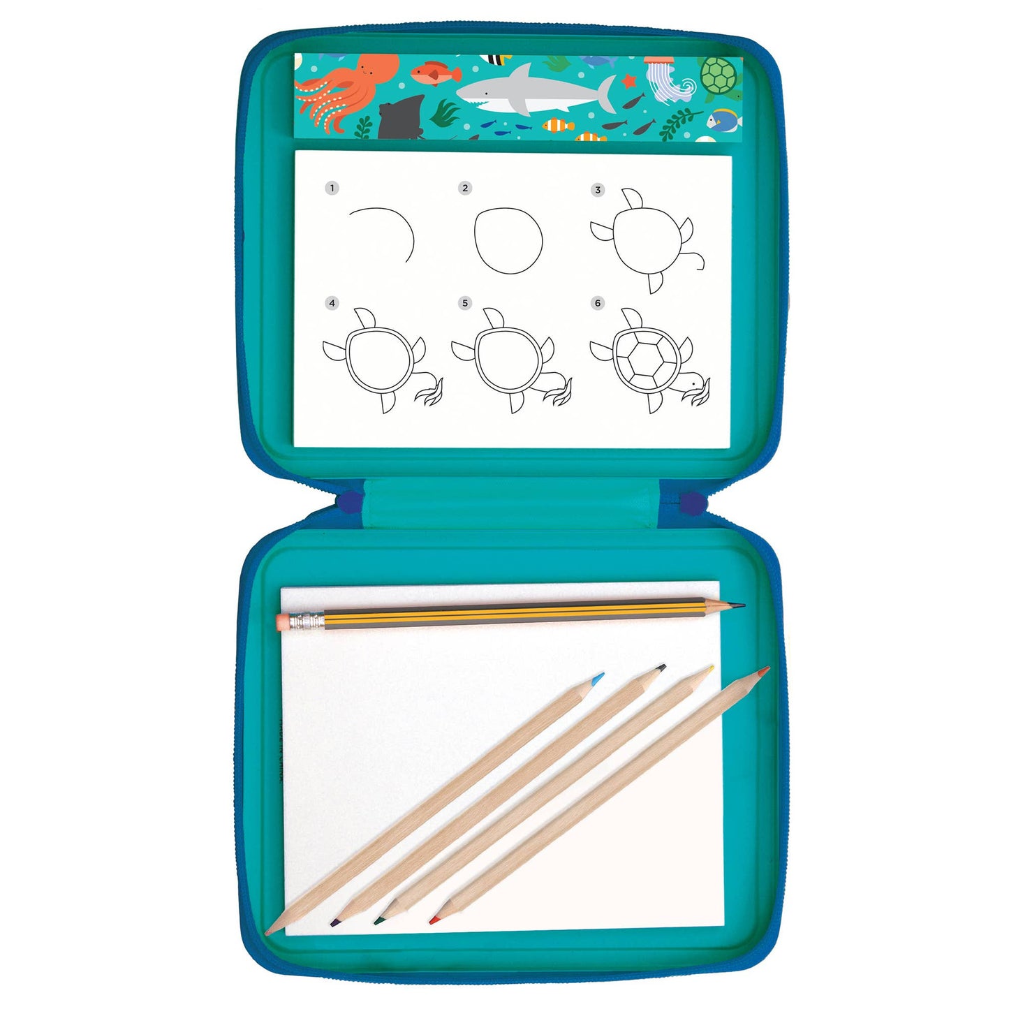 How to Draw Ocean Life