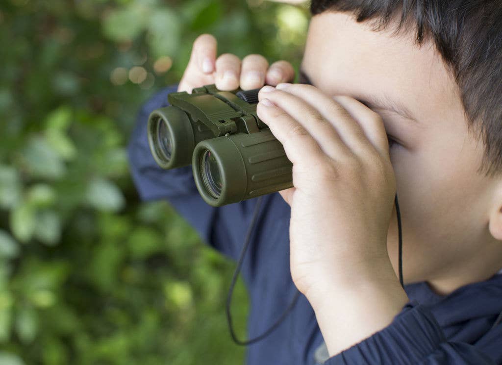 Kikkerland Design Inc - Huckleberry Binoculars