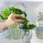 Modern Sprout - Produce Keepers - Set of 2