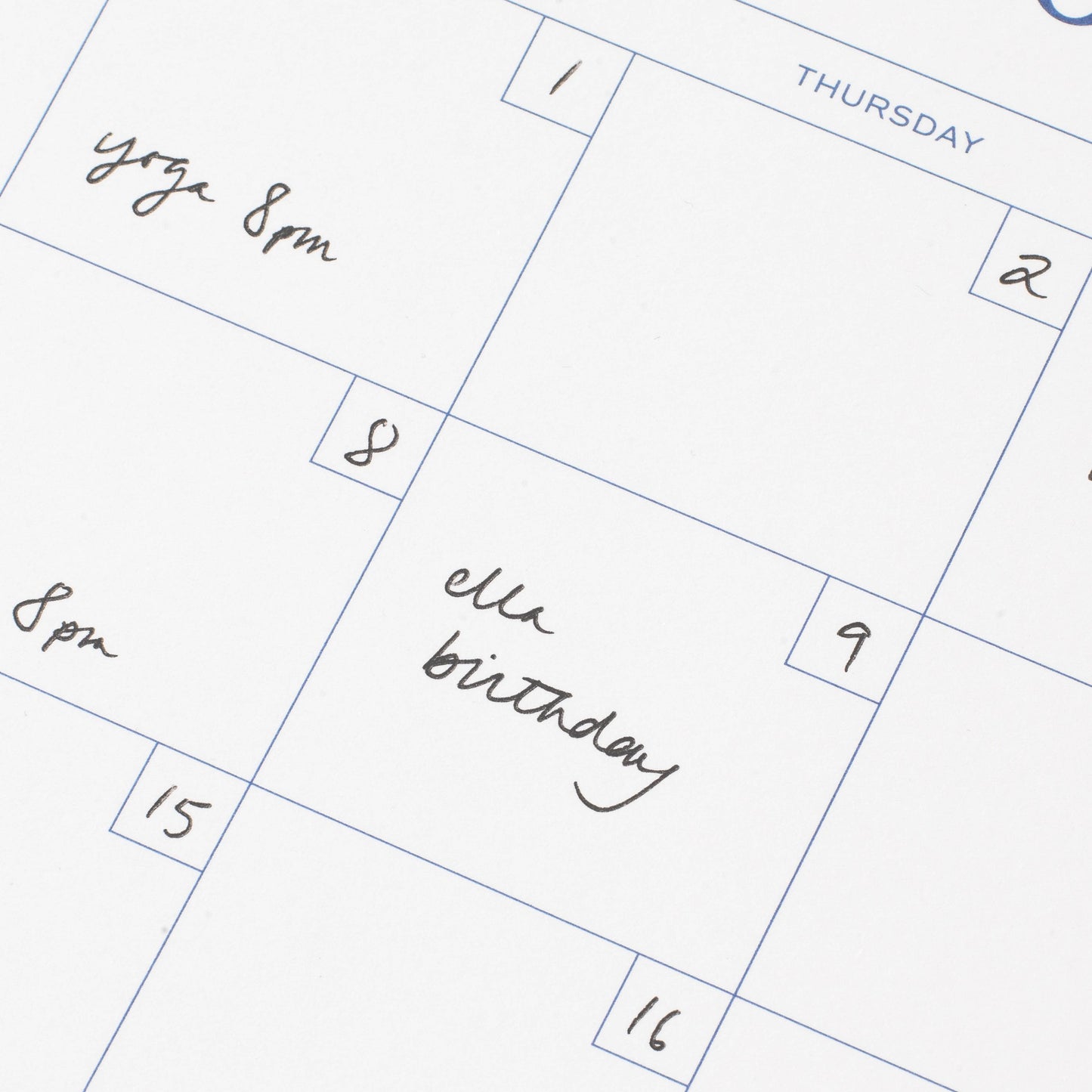 Papier - Floral Gingham Spiral Undat Monthly Desk Pad