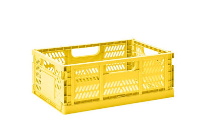 3 Sprouts - Modern Folding Crate - Medium