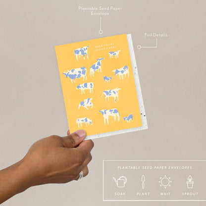 Seedlings - Herd - Baby Card