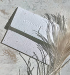 Seedlings - Matchbooks - Anniversary Card