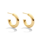 Splendid Iris - The Perfect Hoop Earrings