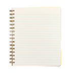Shorthand Press - Standard Notebook - Smiley Face