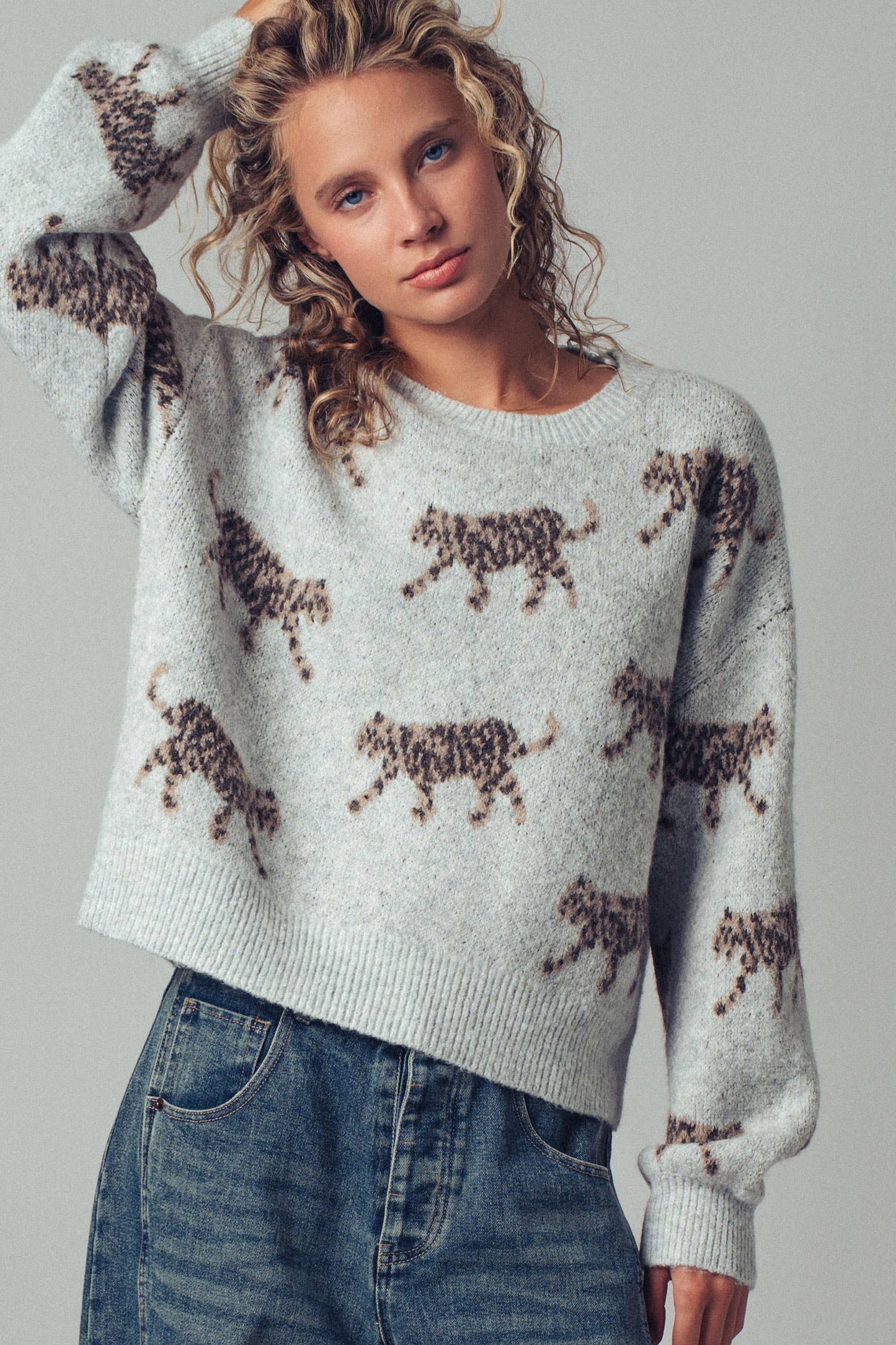 Urban Daizy - Playful Leopard Knit Crewneck Sweater