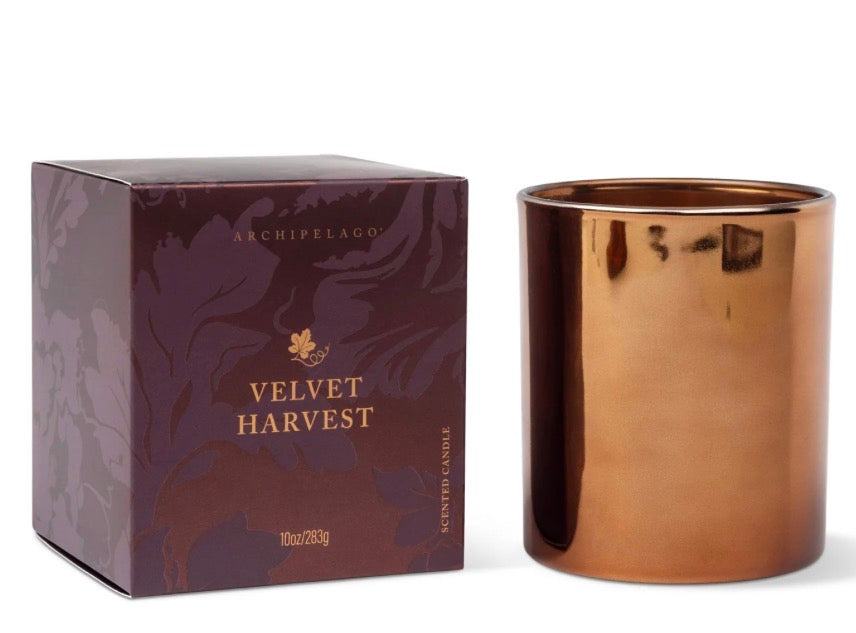 Archipelago Velvet Harvest Boxed Candle 10oz