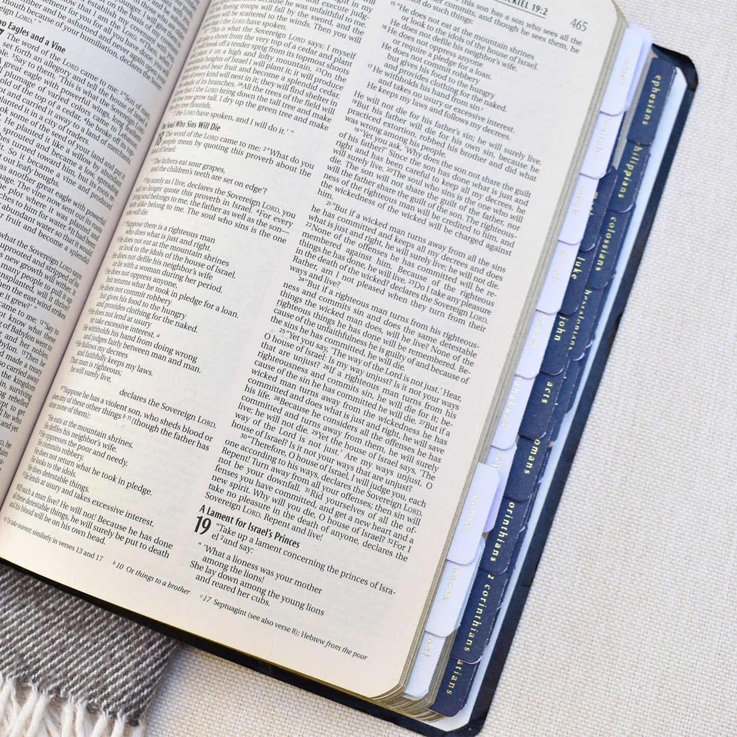 Church Notes Co. -  Grey & Gold Bible Tabs