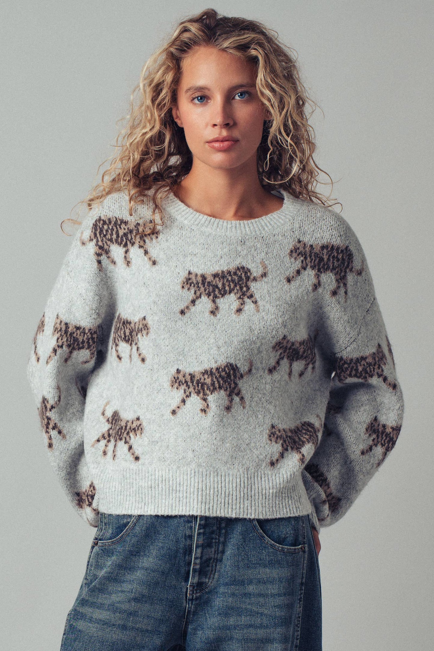 Urban Daizy - Playful Leopard Knit Crewneck Sweater