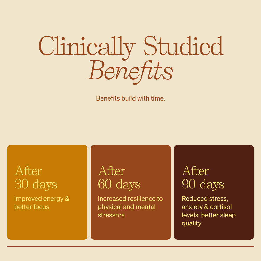 Clevr Blends - Matcha SuperLatte