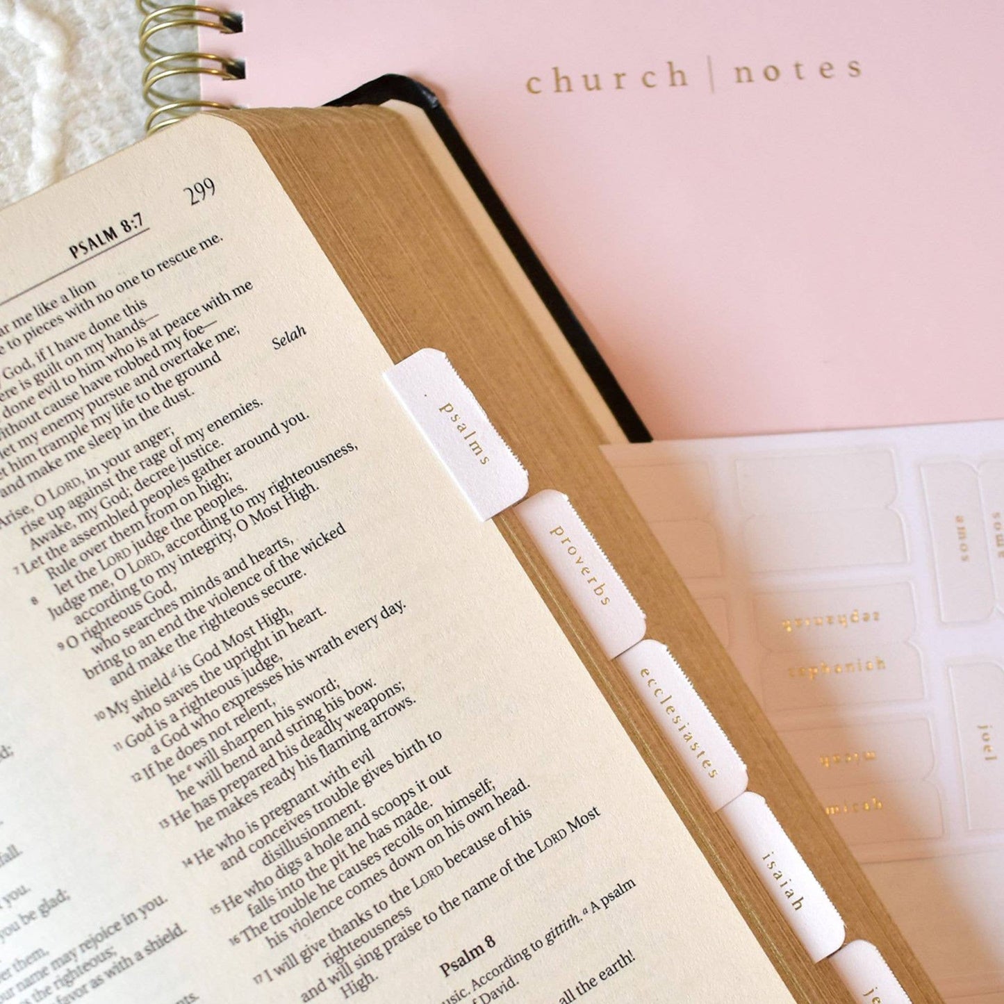 Church Notes Co. - Pink and Cream Bible Tabs