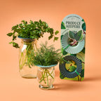 Modern Sprout - Produce Keepers - Set of 2