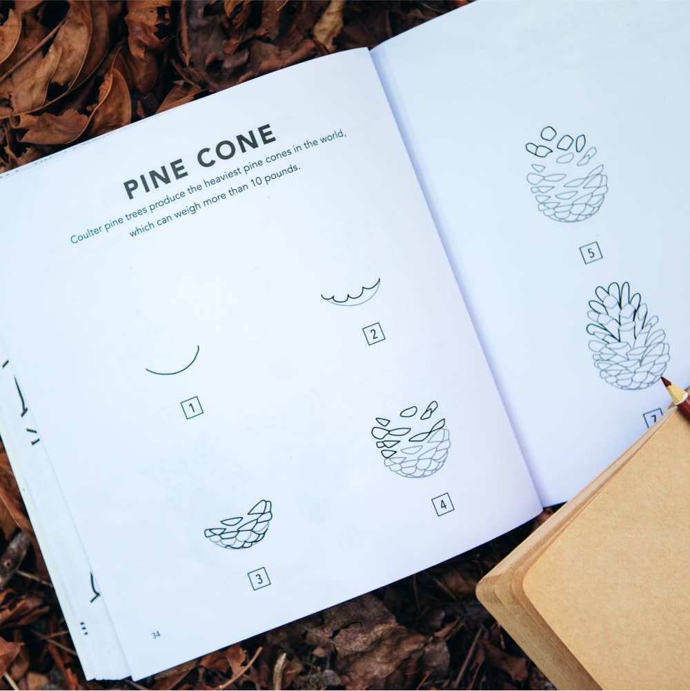 How To Draw Fall Things