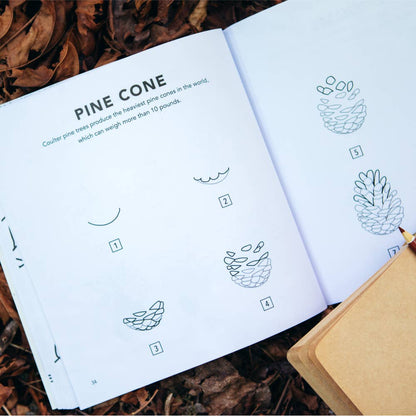 How To Draw Fall Things