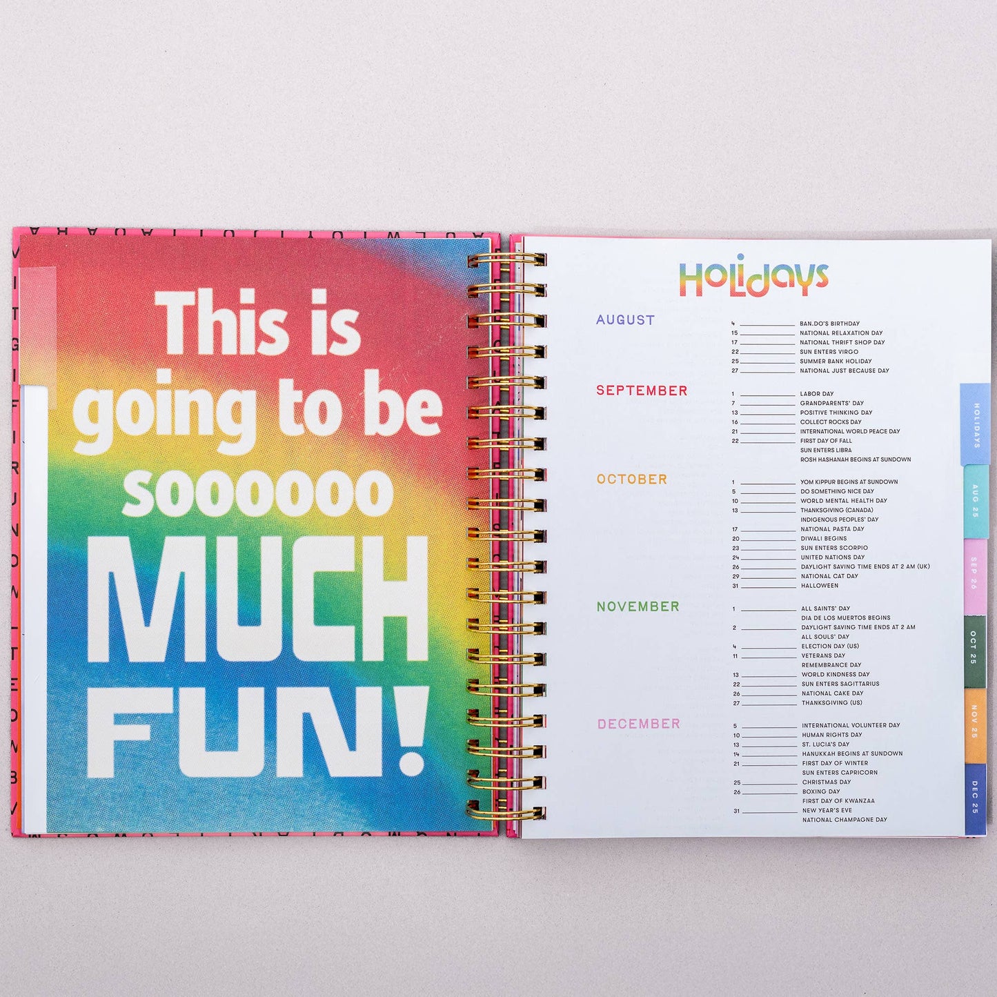 Ban.do - 17 Month Large Planner, Word Search