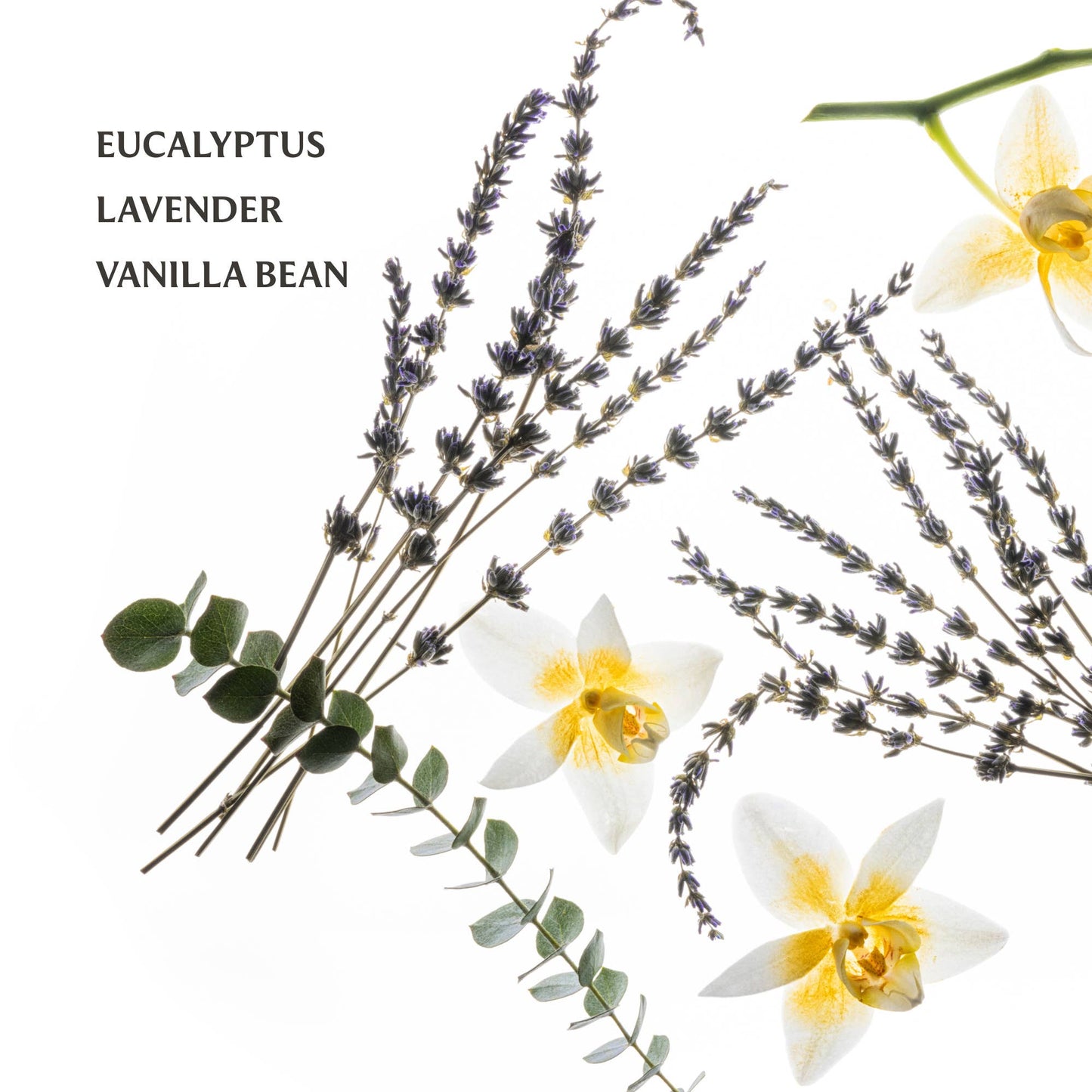 Touchland - Pure Lavender Power Mist Hydrating Hand Sanitizer