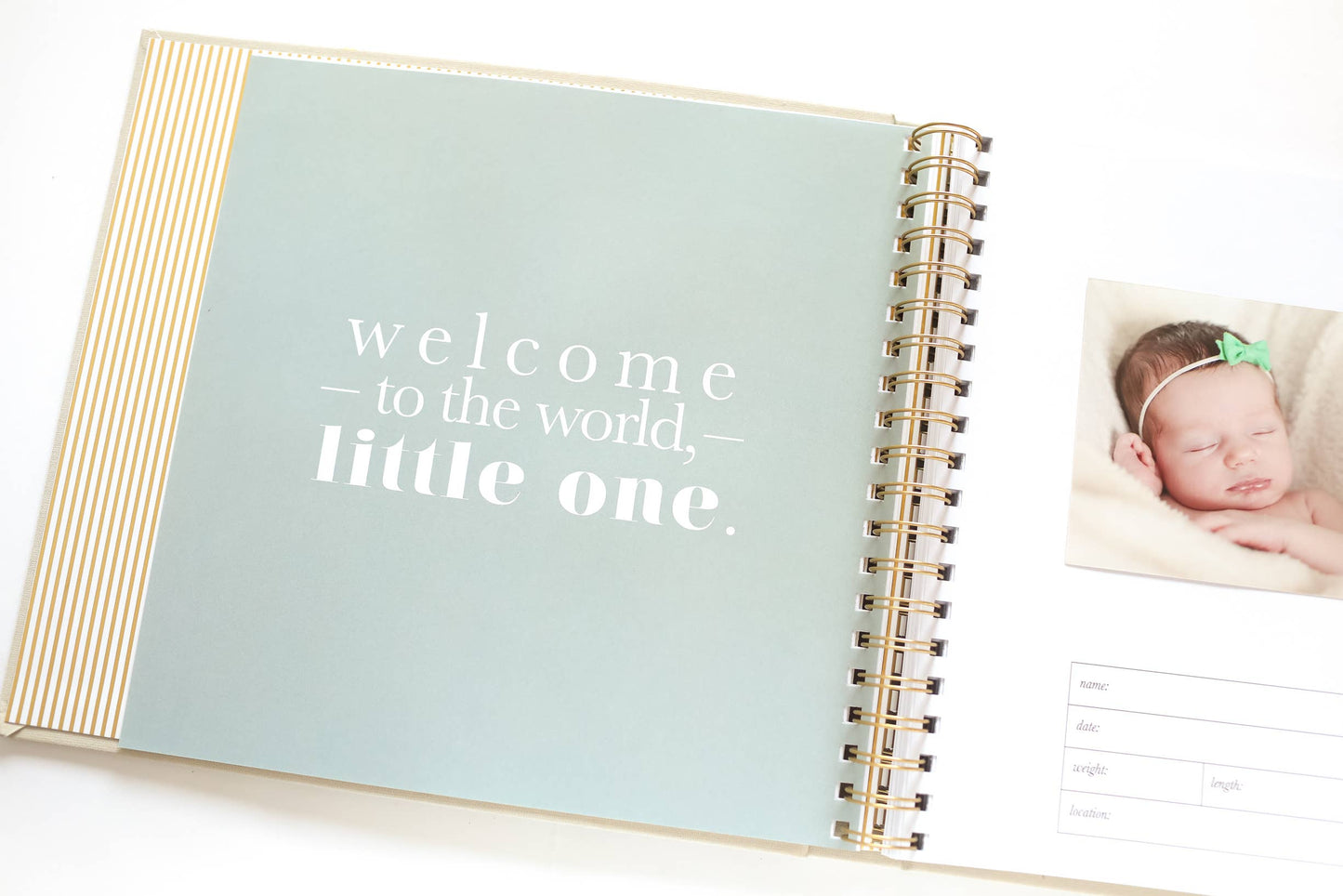 Paper Peony Press - The Baby Memory Book