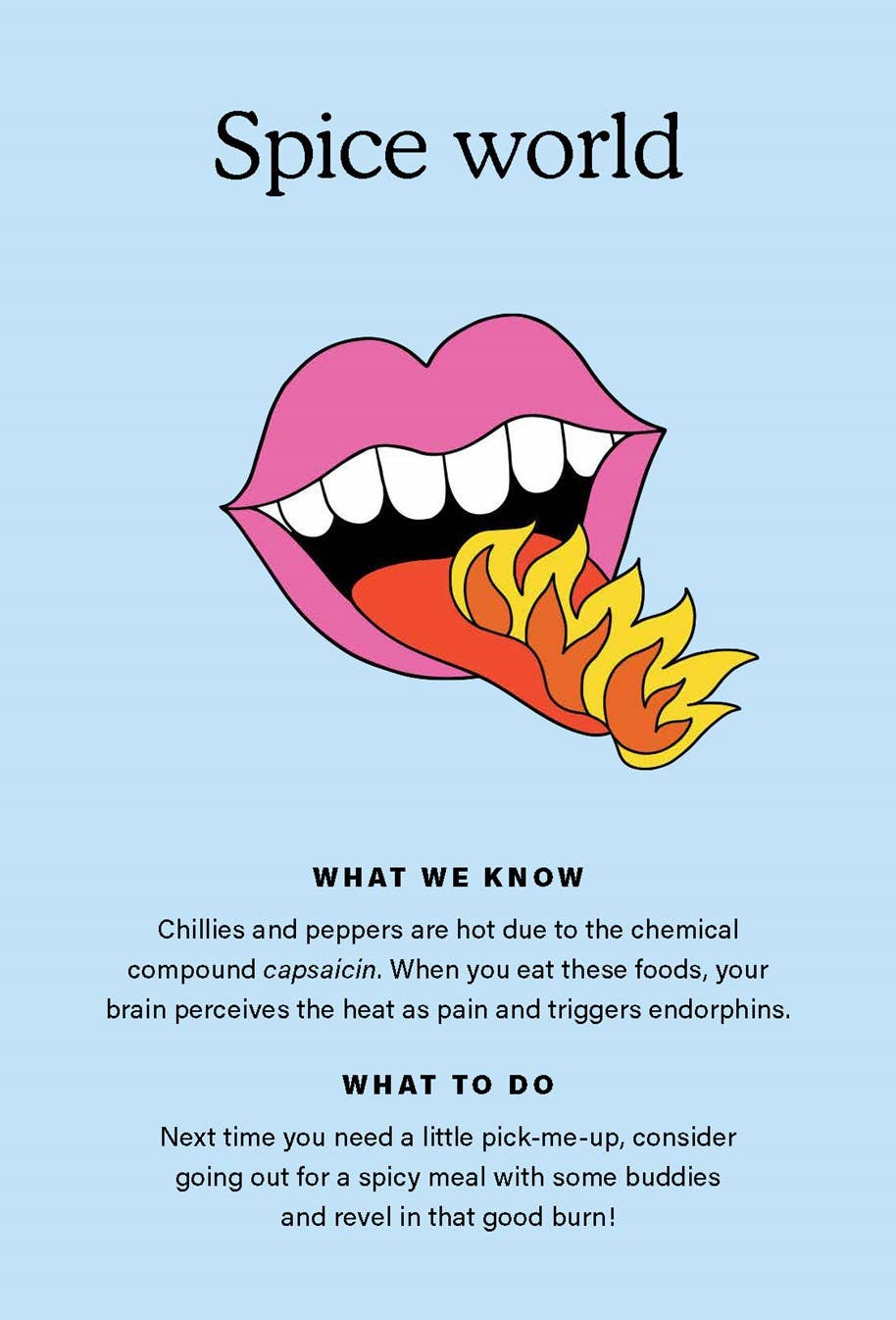 The Happiness Chemicals - Daily Rituals to Activate Joy Naturally