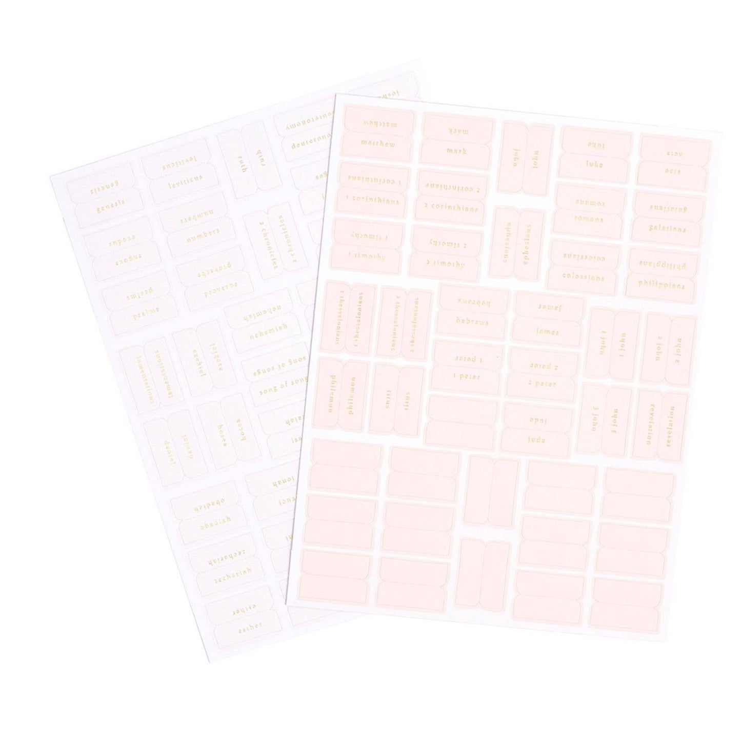 Church Notes Co. - Pink and Cream Bible Tabs