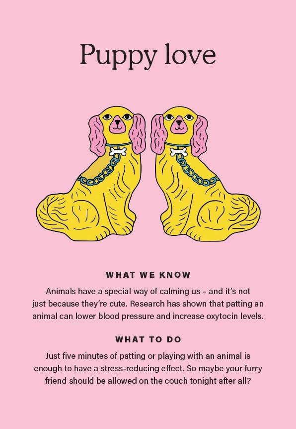The Happiness Chemicals - Daily Rituals to Activate Joy Naturally