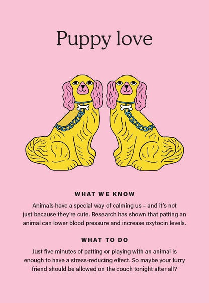 The Happiness Chemicals - Daily Rituals to Activate Joy Naturally