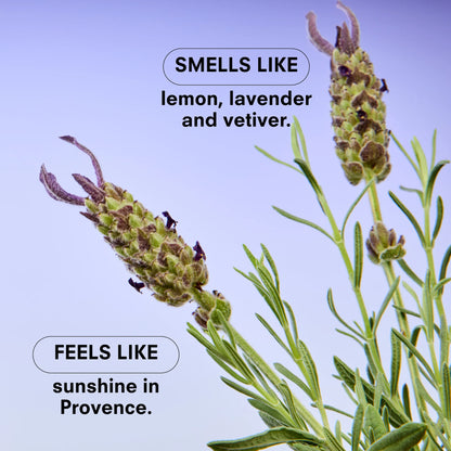 Boy Smells 8.5oz Candle - Essentials - Lavendare