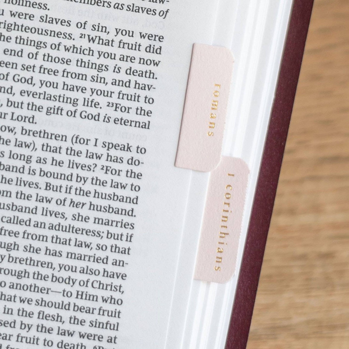 Church Notes Co. - Pink and Cream Bible Tabs