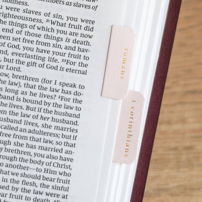 Church Notes Co. - Pink and Cream Bible Tabs