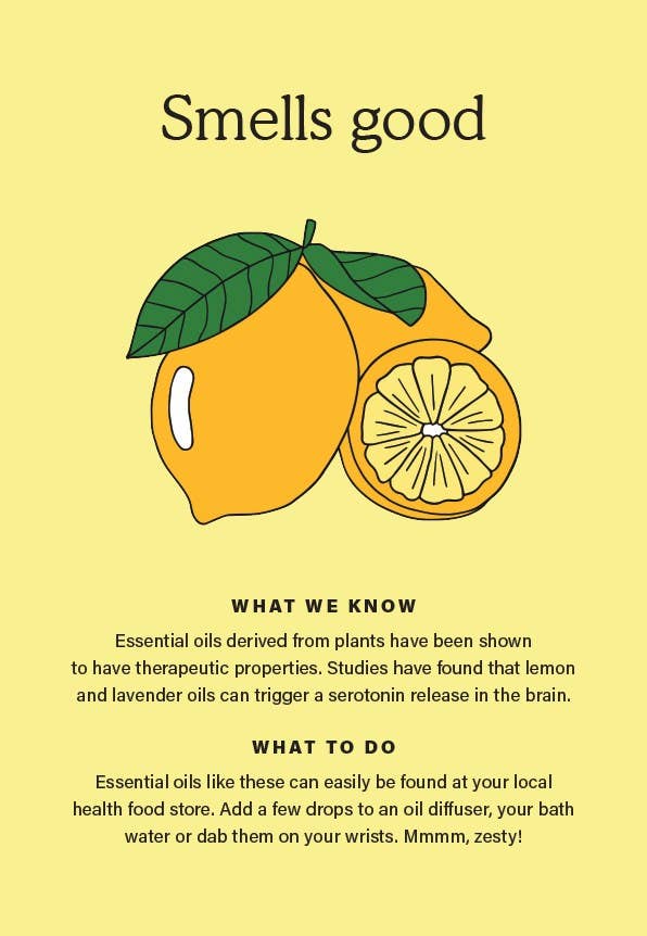 The Happiness Chemicals - Daily Rituals to Activate Joy Naturally