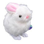 Toysmith - Farm Fresh White Fuzzy Bunny Wind Ups, Spring, Easter
