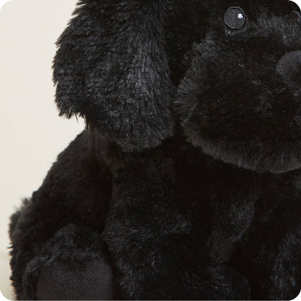 Warmies - Lavender Scented Plush Plush Toy - Black Lab Warmies