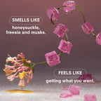 Boy Smells Hero Fine Fragrance - Sugar Baby