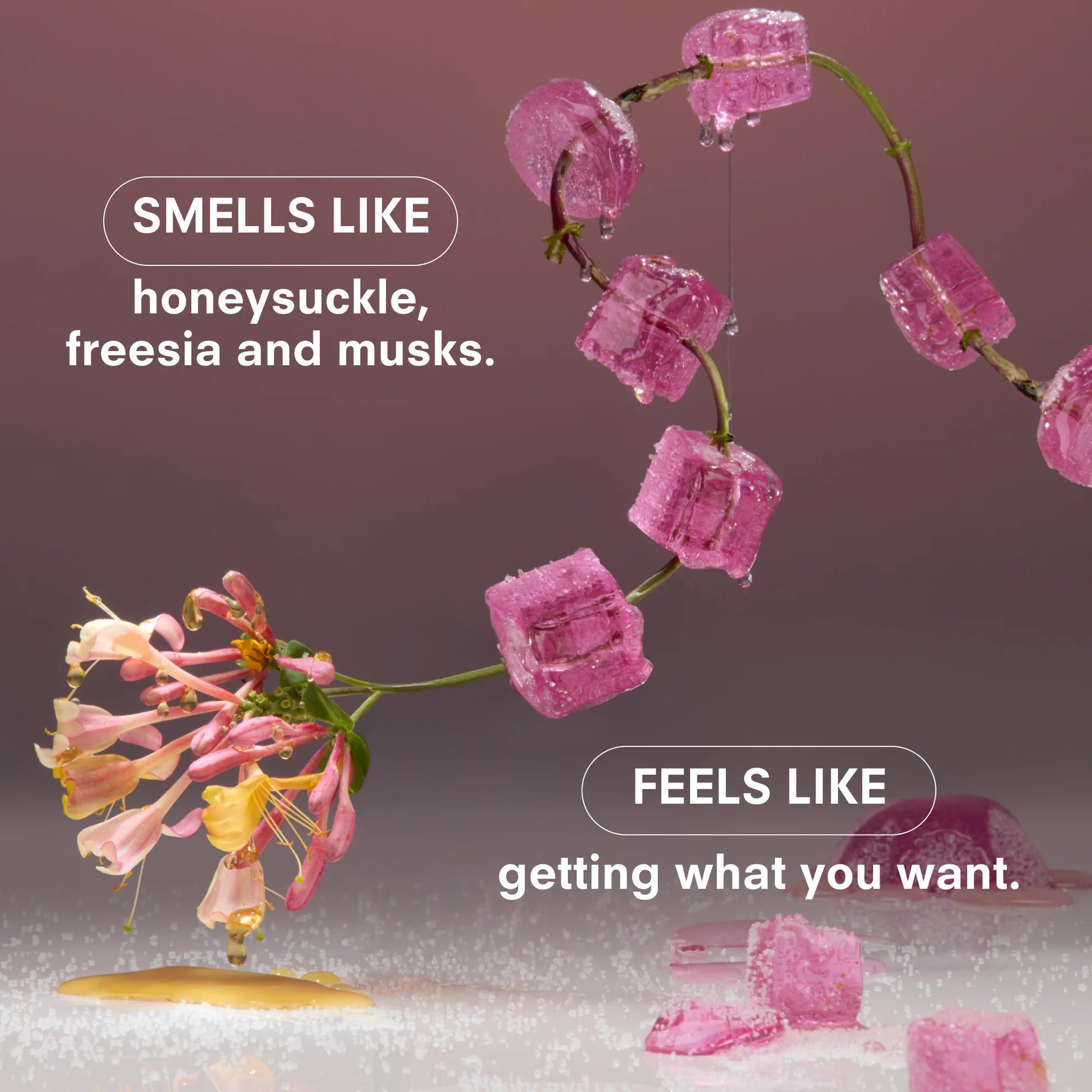 Boy Smells Hero Fine Fragrance - Sugar Baby