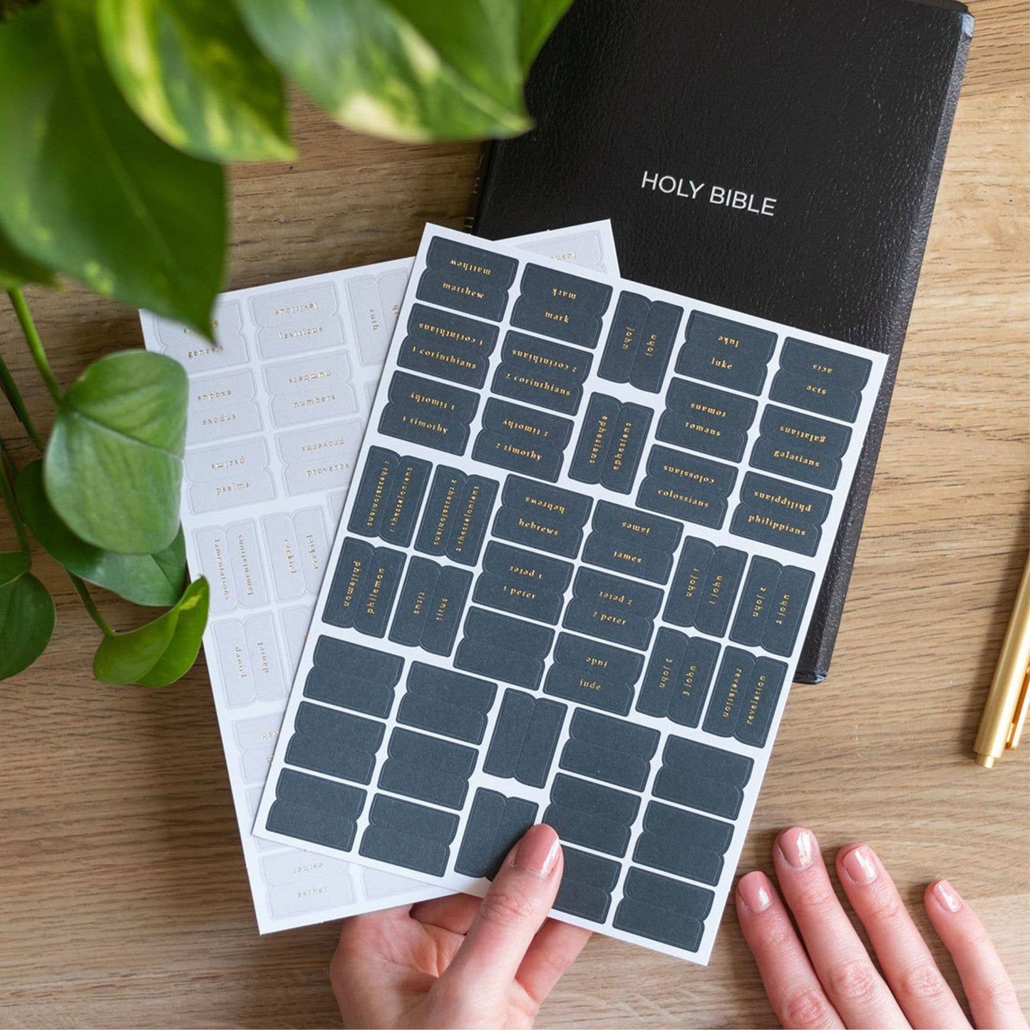 Church Notes Co. -  Grey & Gold Bible Tabs