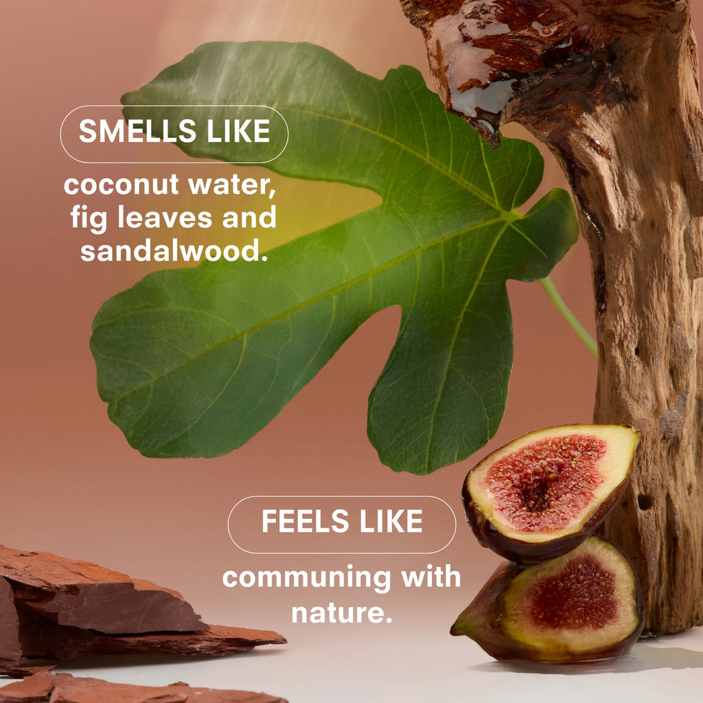 Boy Smells Hero Fine Fragrance - Woodphoria