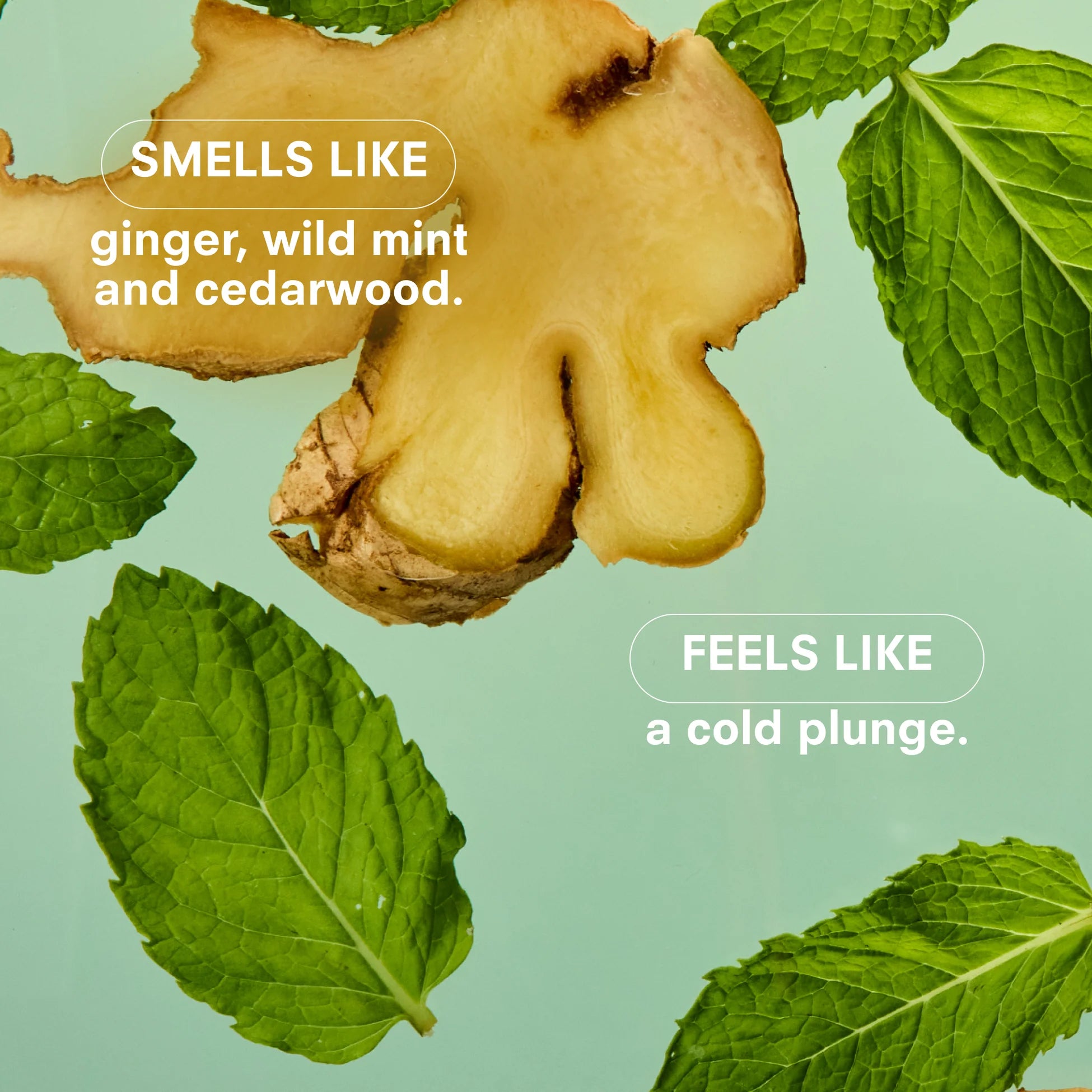 Boy Smells 8.5oz Candle - Essentials - Minty