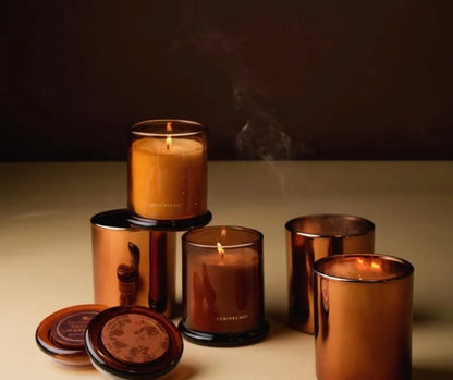 Archipelago Velvet Harvest Boxed Candle 10oz