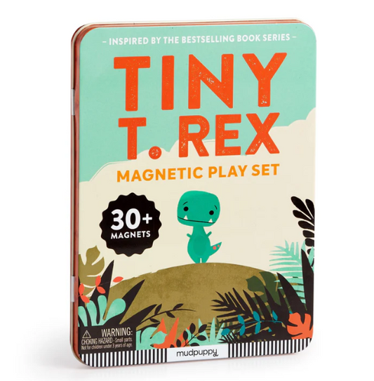 Tiny T.Rex Magnetic Play Set