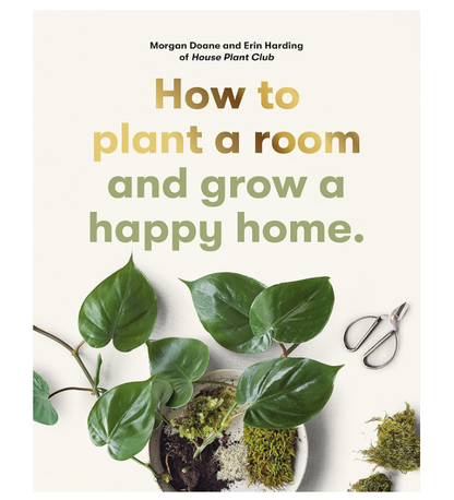 How to plant a room