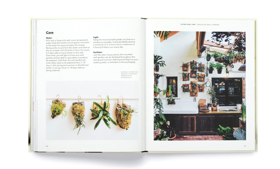 How to plant a room