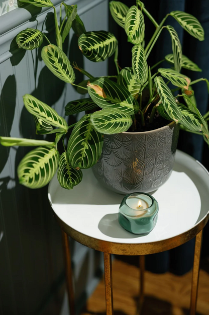 Paddywax Fresh Air & Sea Salt - Basalt 5 oz Candle