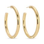 Splendid Iris - The Perfect Hoop Earrings