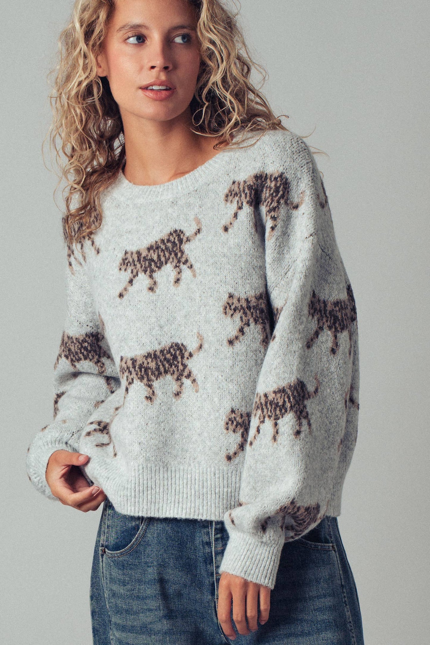 Urban Daizy - Playful Leopard Knit Crewneck Sweater