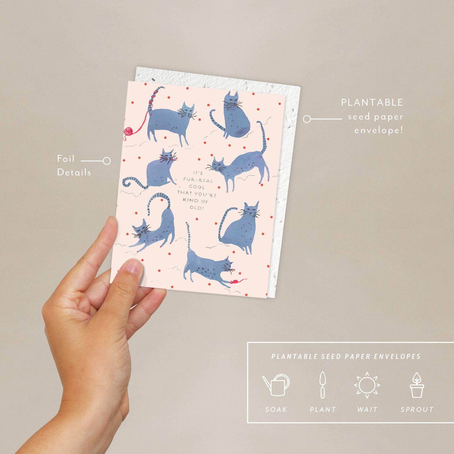 Seedlings - Playful Cats - Birthday Card